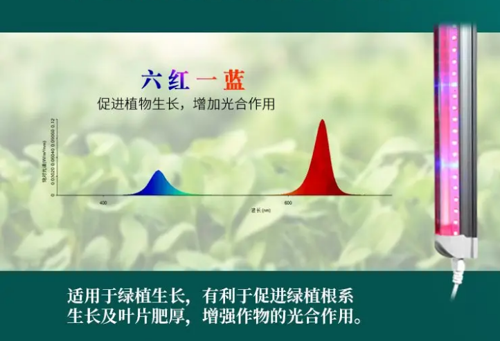 鍏孩涓钃?png