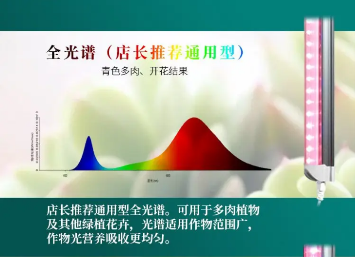 鍏ㄥ厜璋卞浘.png