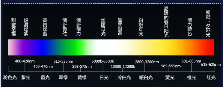 鍙鍏夐璋卞浘.png