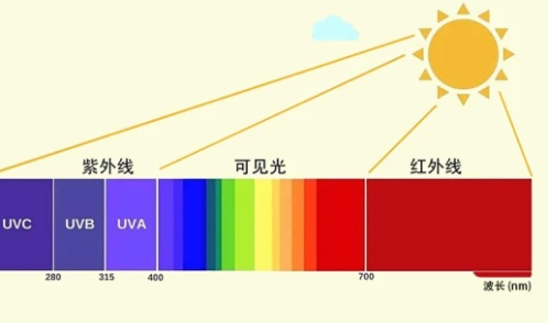 绱綰垮垎綾誨浘.png