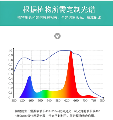 妞嶇墿鐢熼暱鐏鍏夎氨鍥?png
