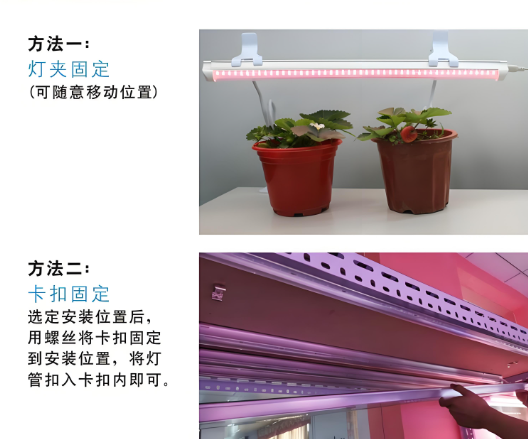 妞嶇墿鐏浣跨敤鏂規硶.png